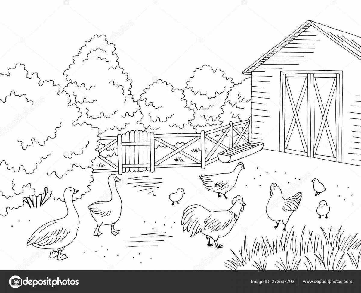 Coloring page funny bird in the poultry yard