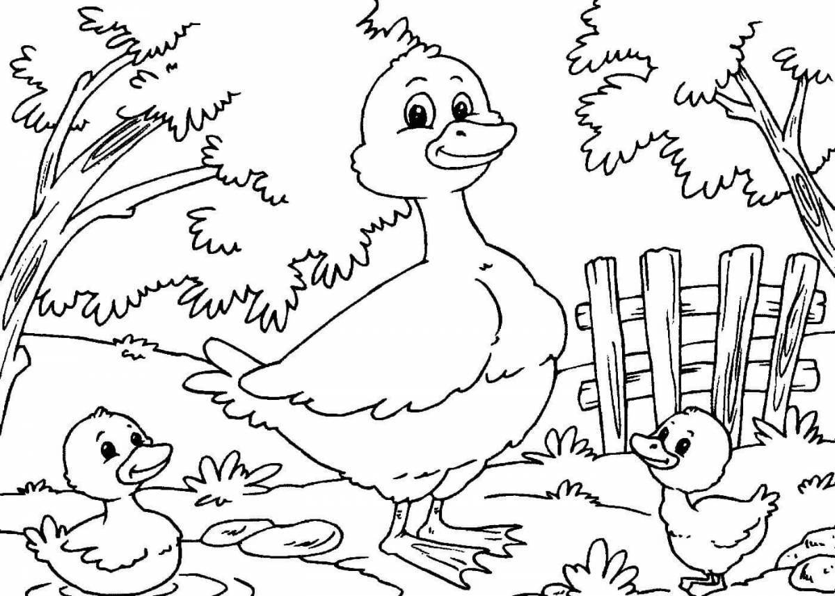 Coloring page wild bird yard