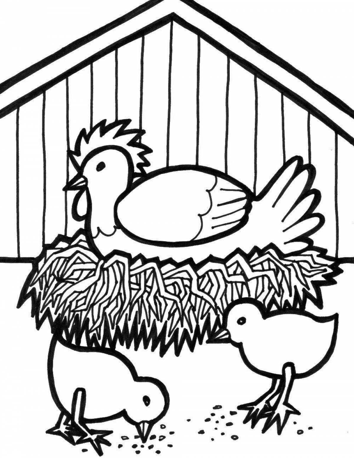 Beautiful bird coloring page in the poultry yard