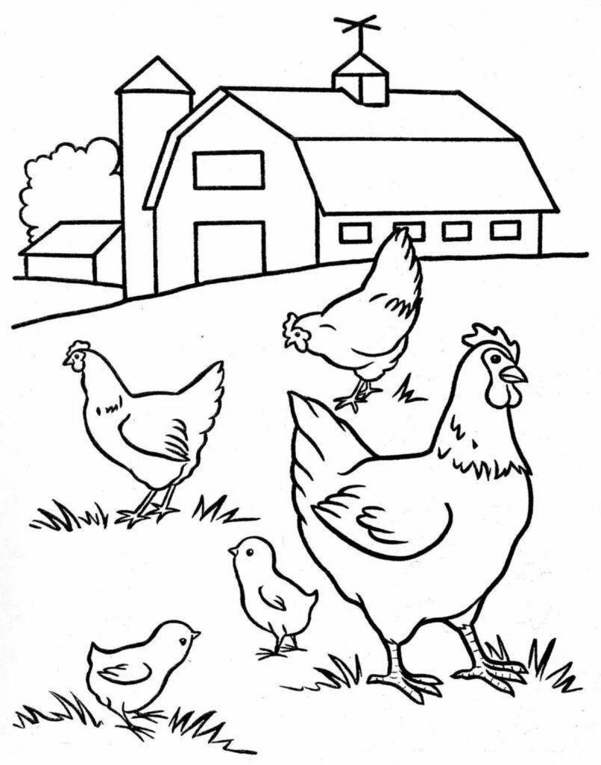 Awesome bird coloring page in the bird yard