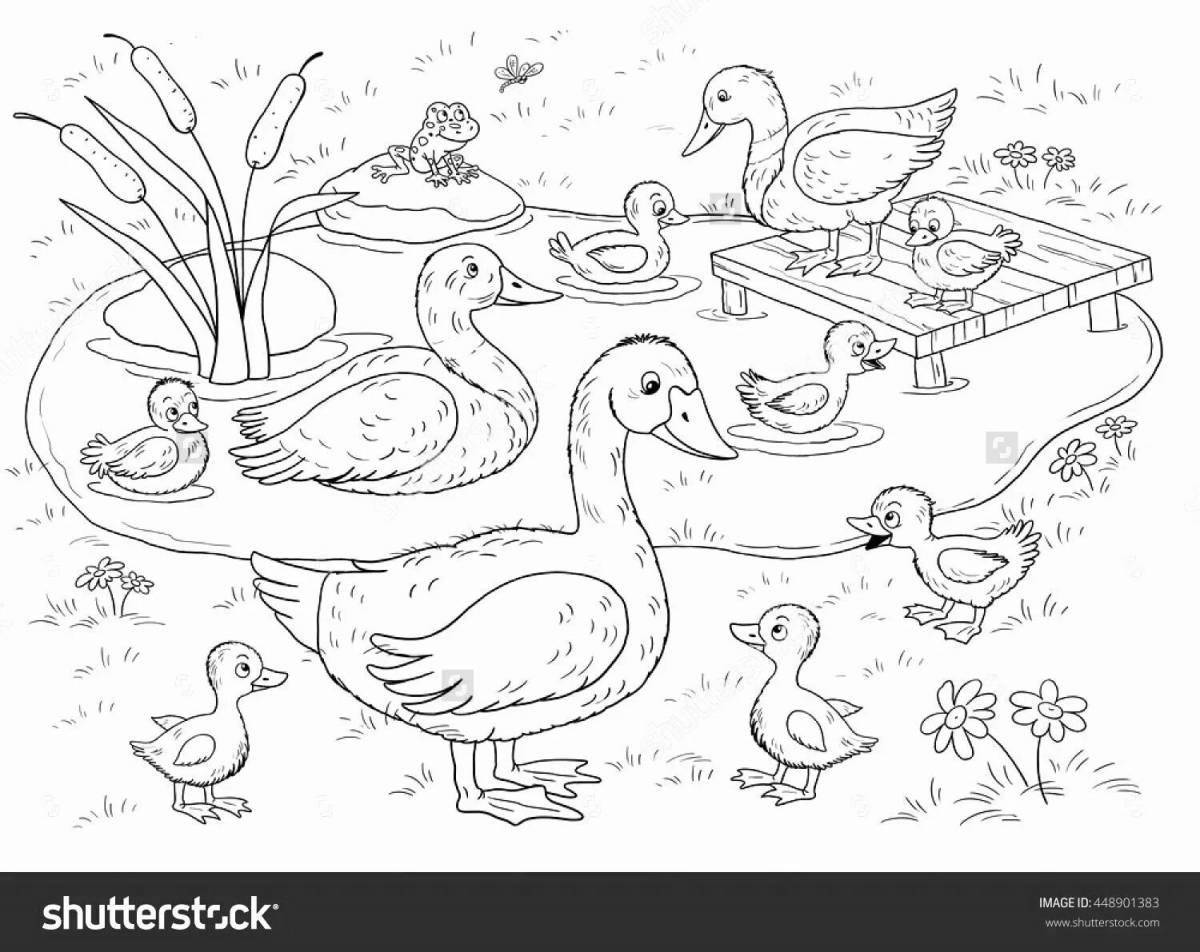 Coloring page dazzling bird in the yard