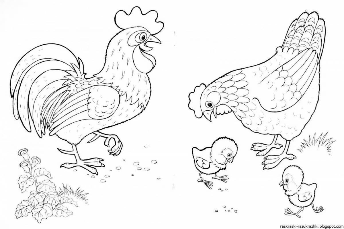 Coloring book brilliant bird yard poultry