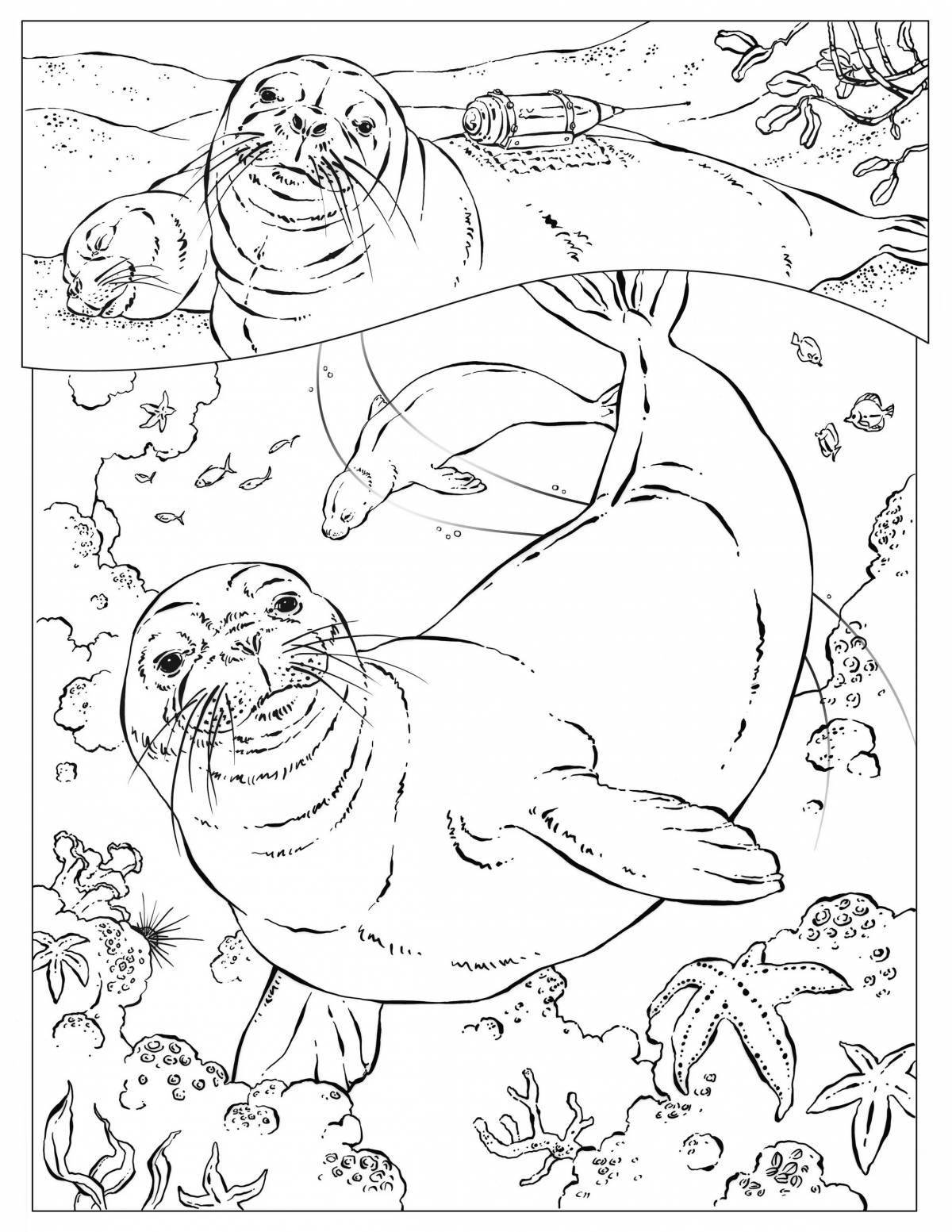Cheerful Baikal seal coloring for children