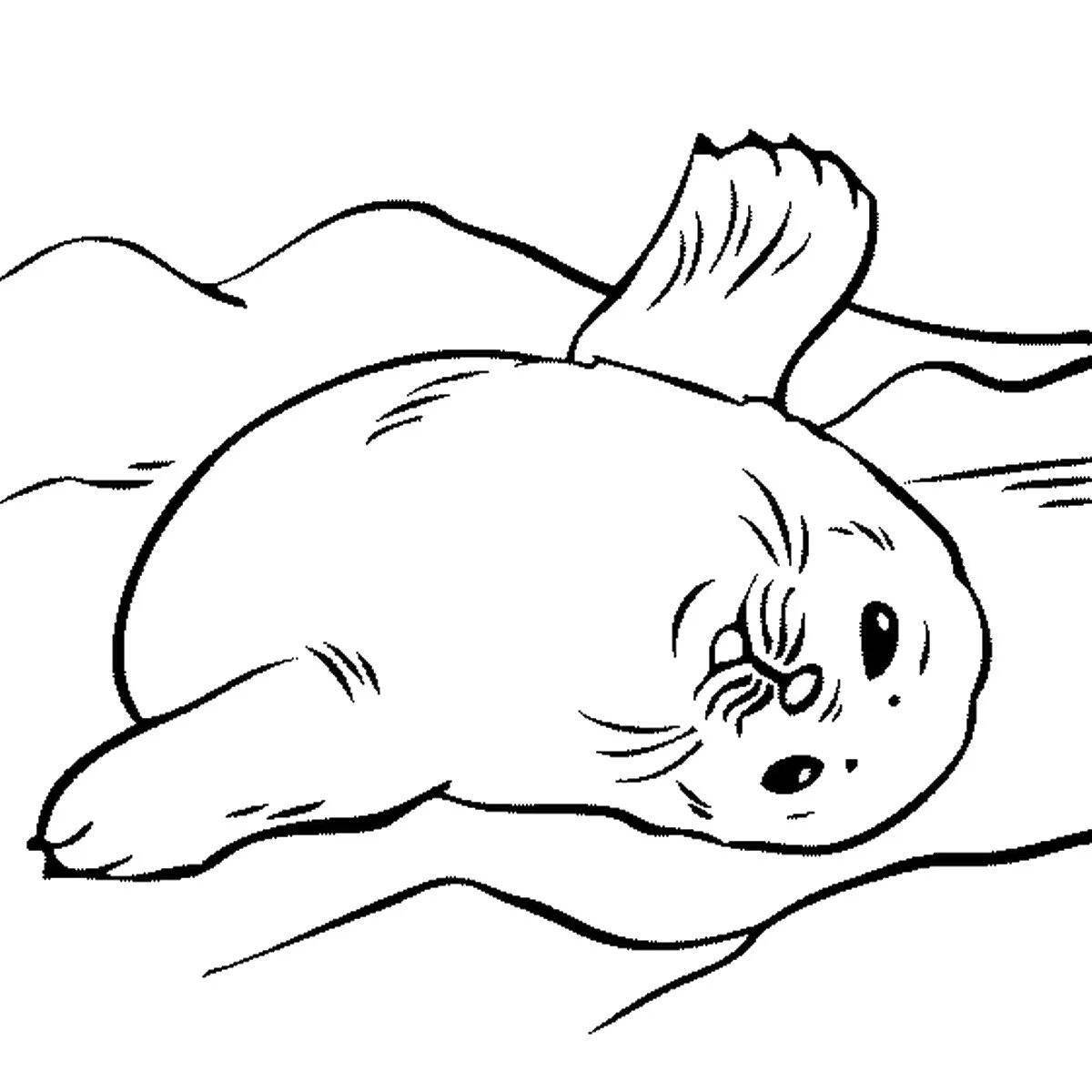 A fun coloring book for kids with the Baikal seal