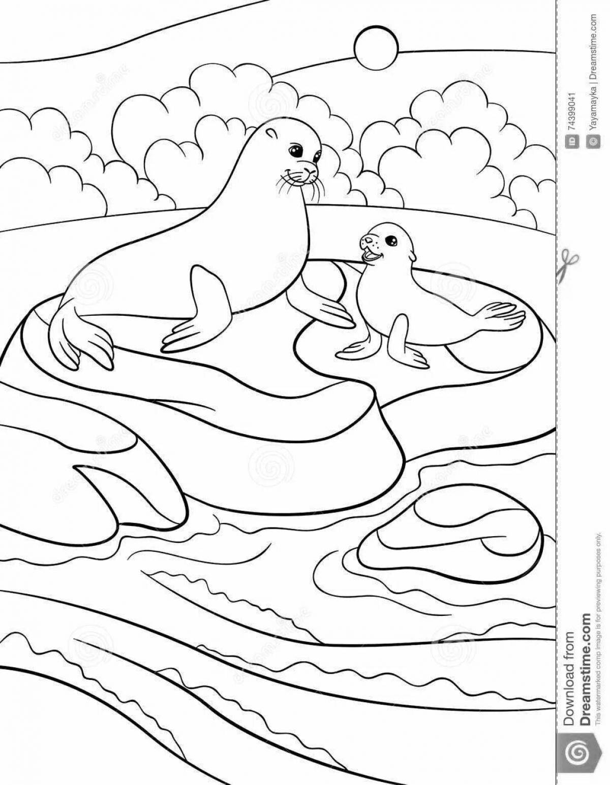 Adorable Baikal seal coloring page for kids