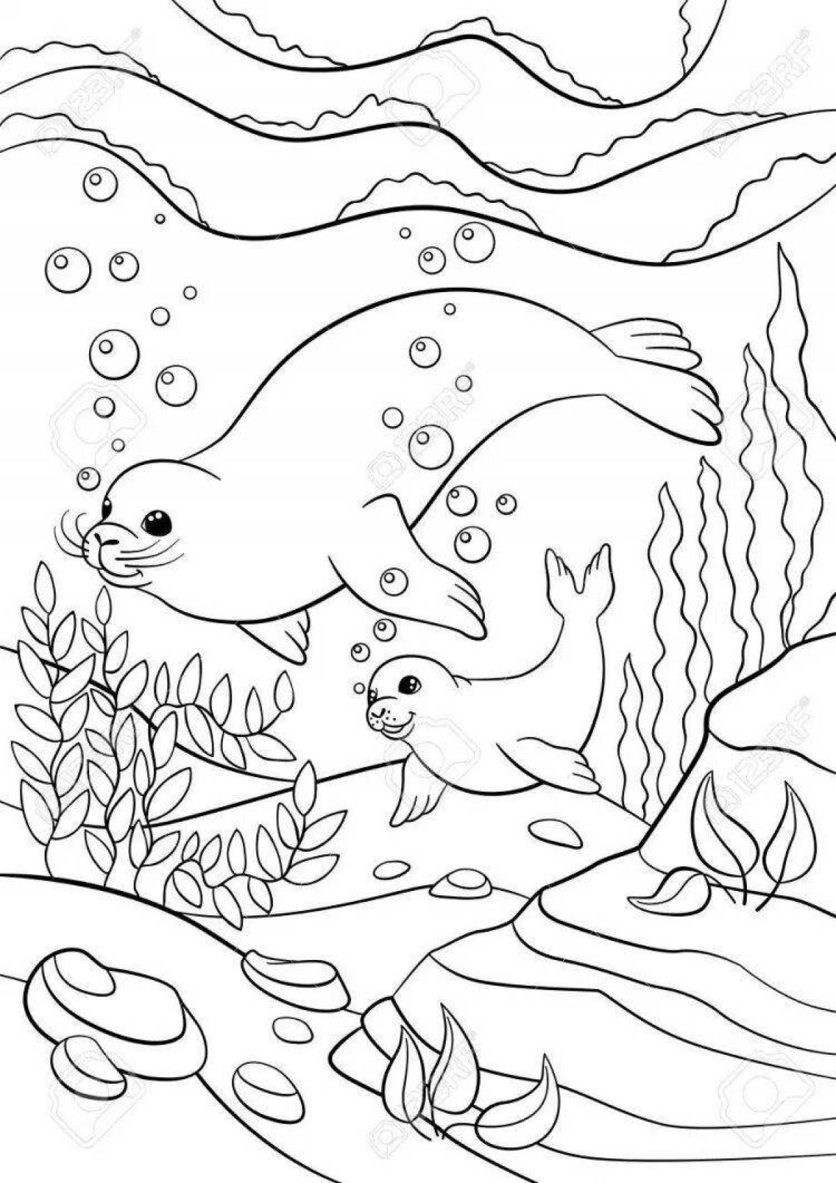 Fabulous Baikal seal coloring book for kids