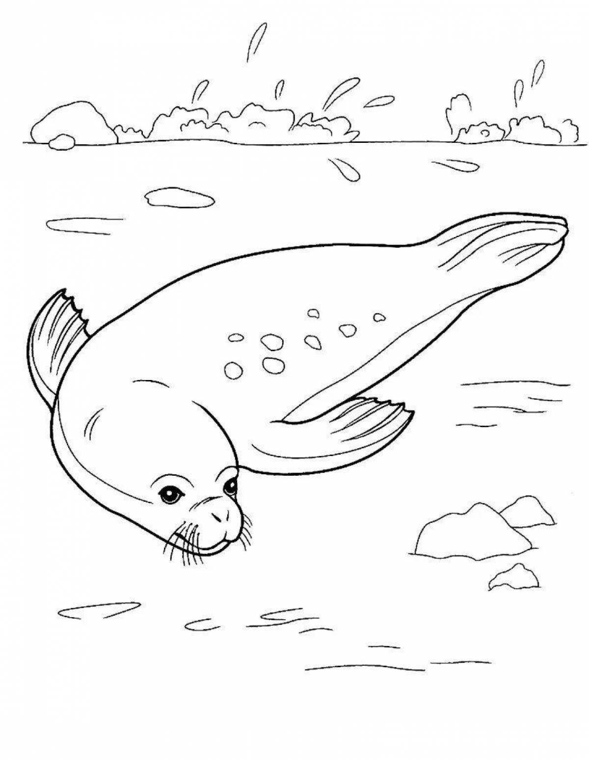 Outstanding Baikal seal coloring book for kids