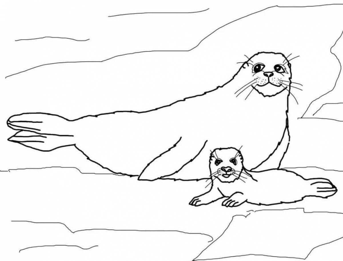 Amazing Baikal seal coloring book for kids