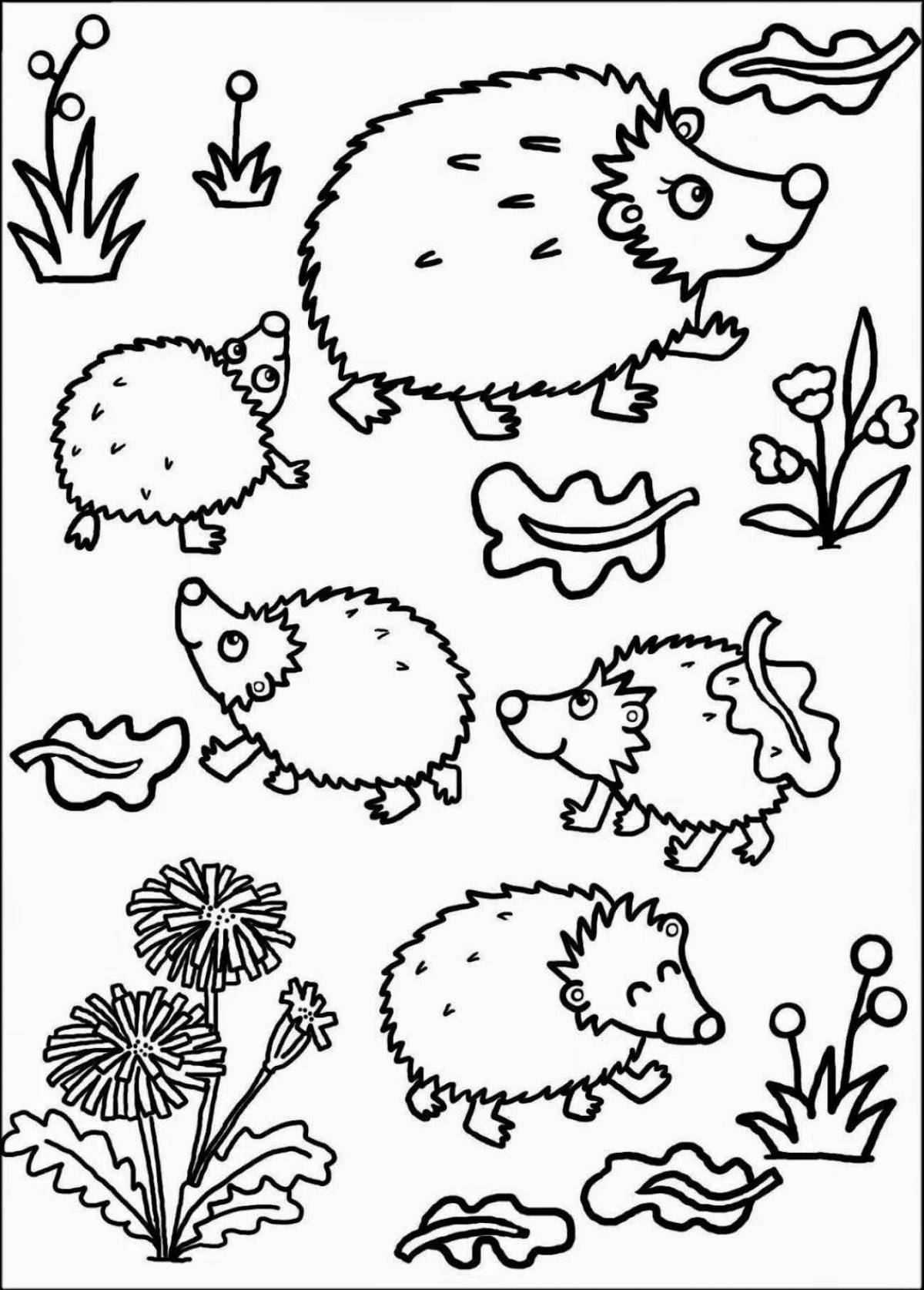 Bright coloring hedgehog for kids