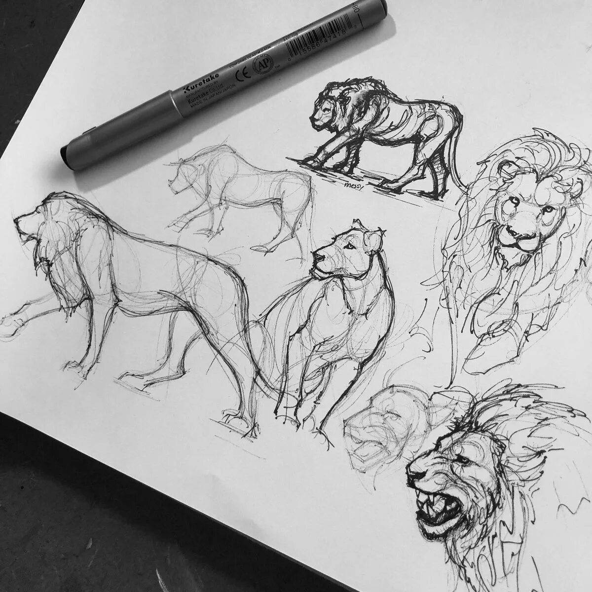 Awesome sketch marker animal coloring page