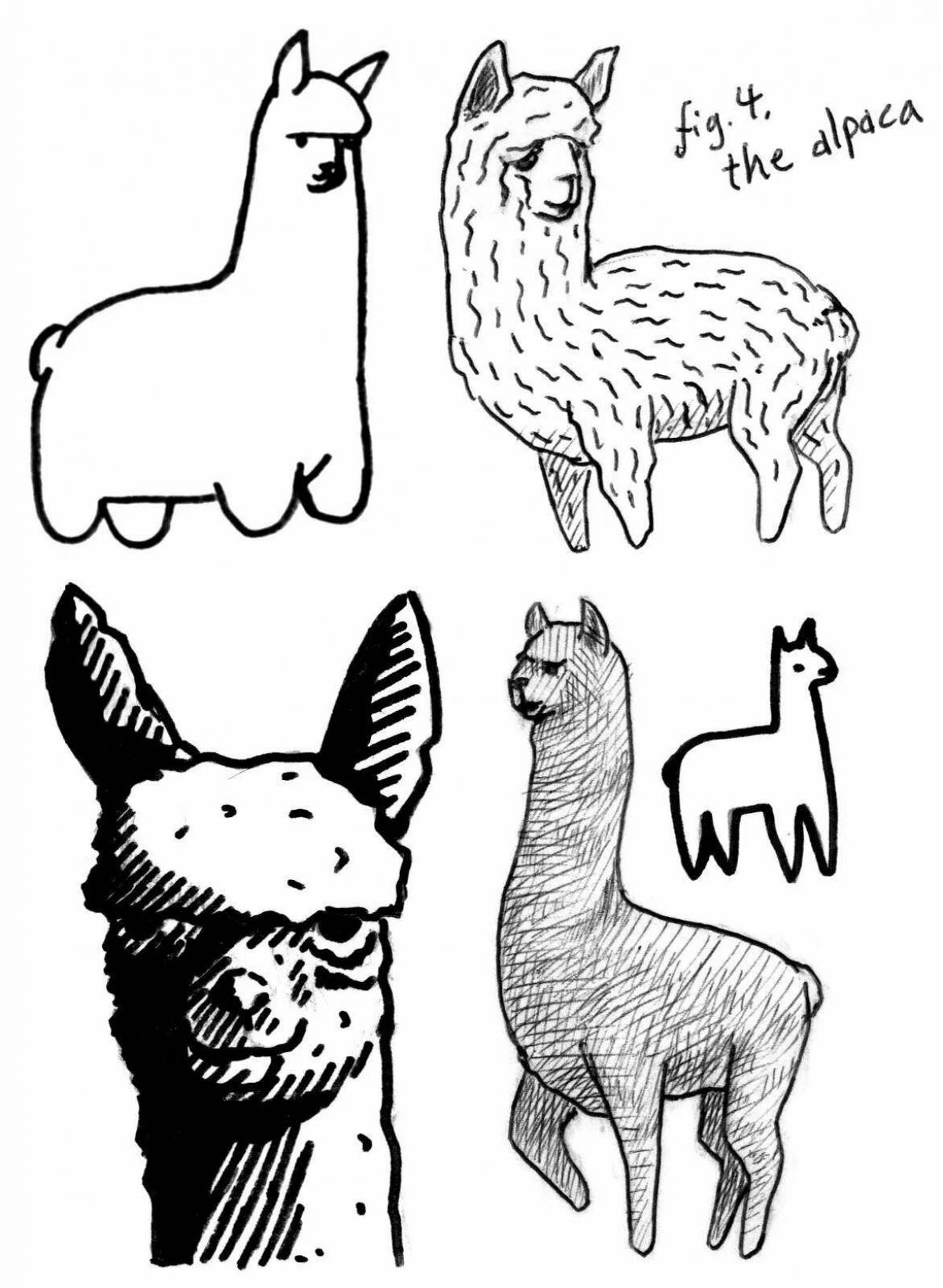 Great coloring book for animal sketch markers