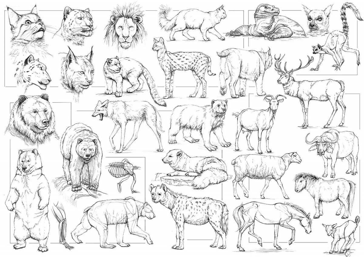 Large coloring page for animal sketch markers