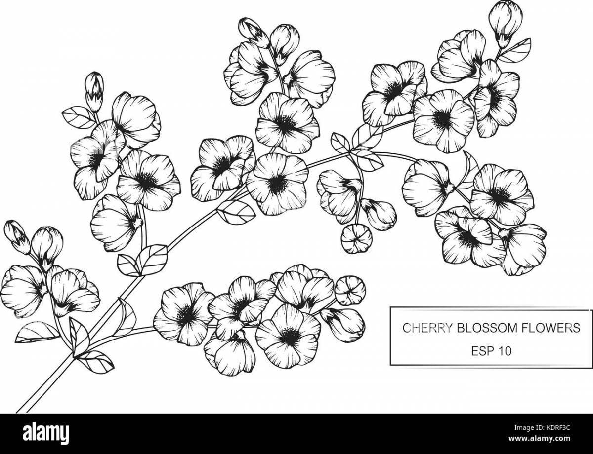 Ветка цветущей вишни рисунок для детей