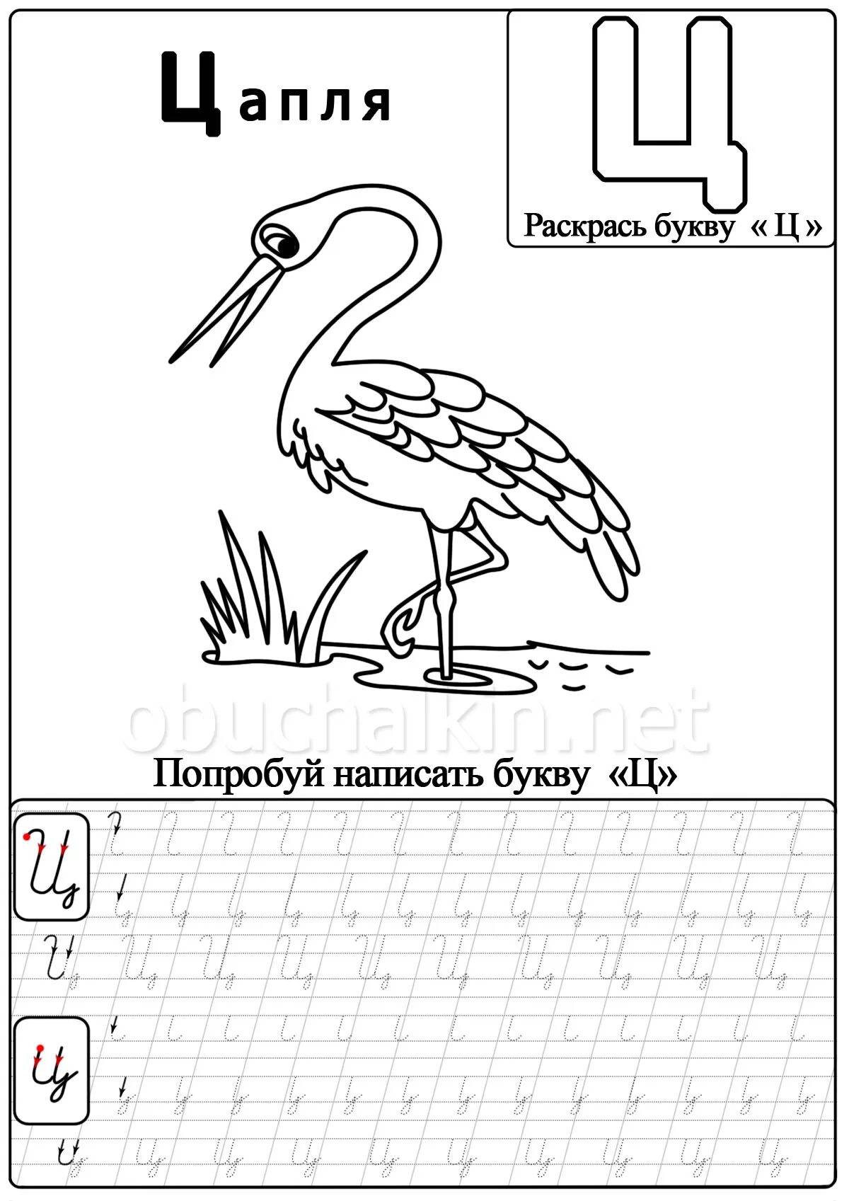 Буква ц картинки для дошкольников