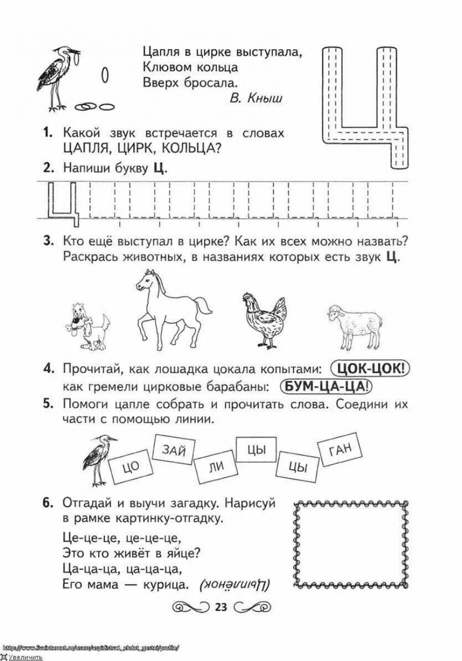 Буква ц в картинках