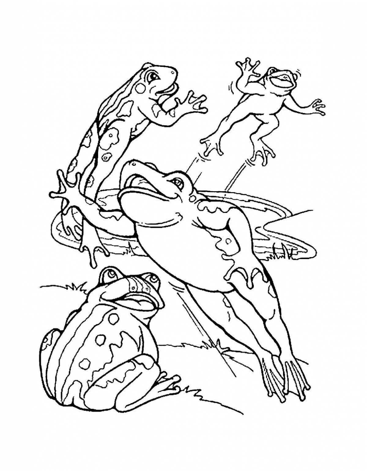 Colourful travel frog coloring page