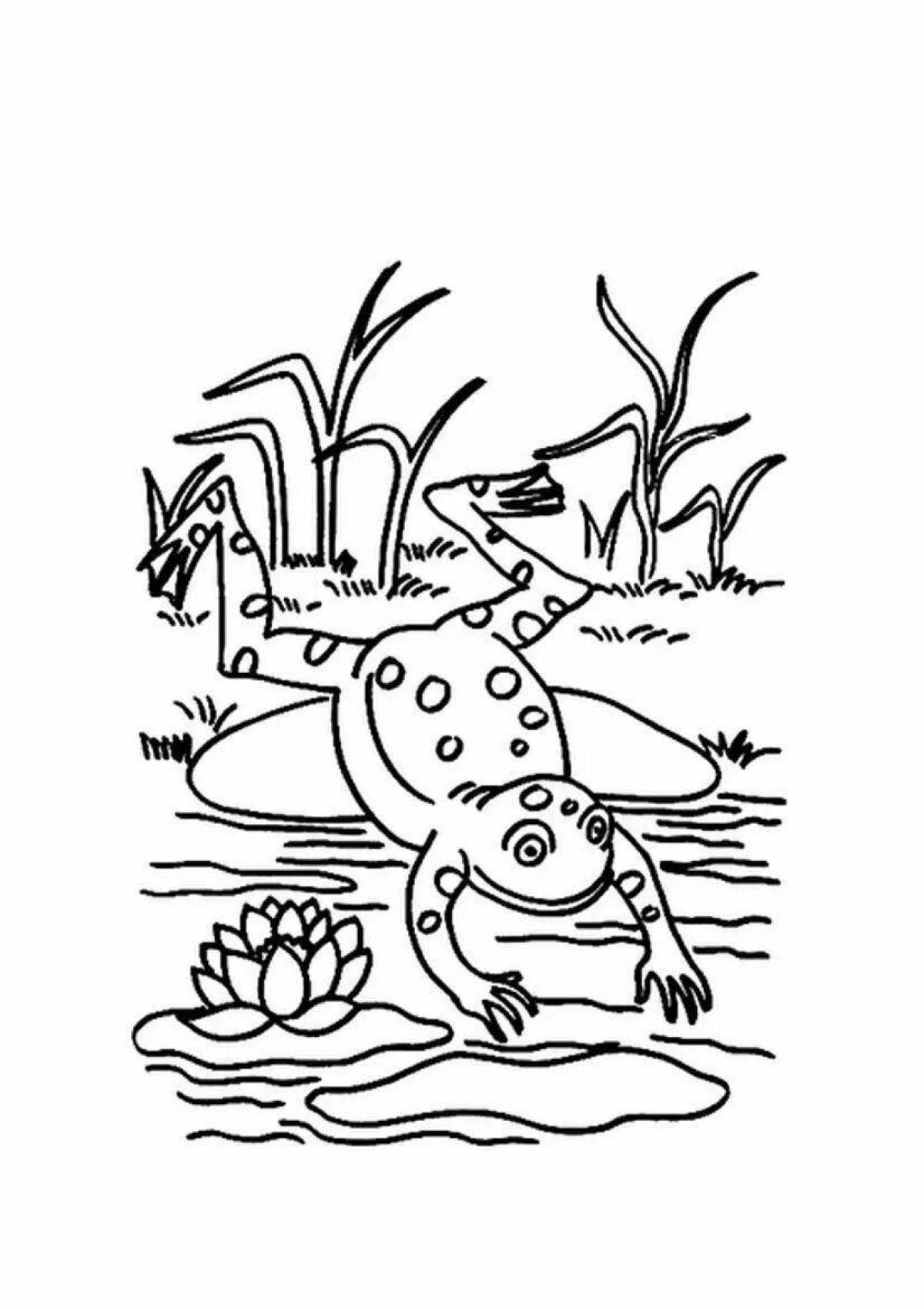 Exquisite traveler frog coloring page