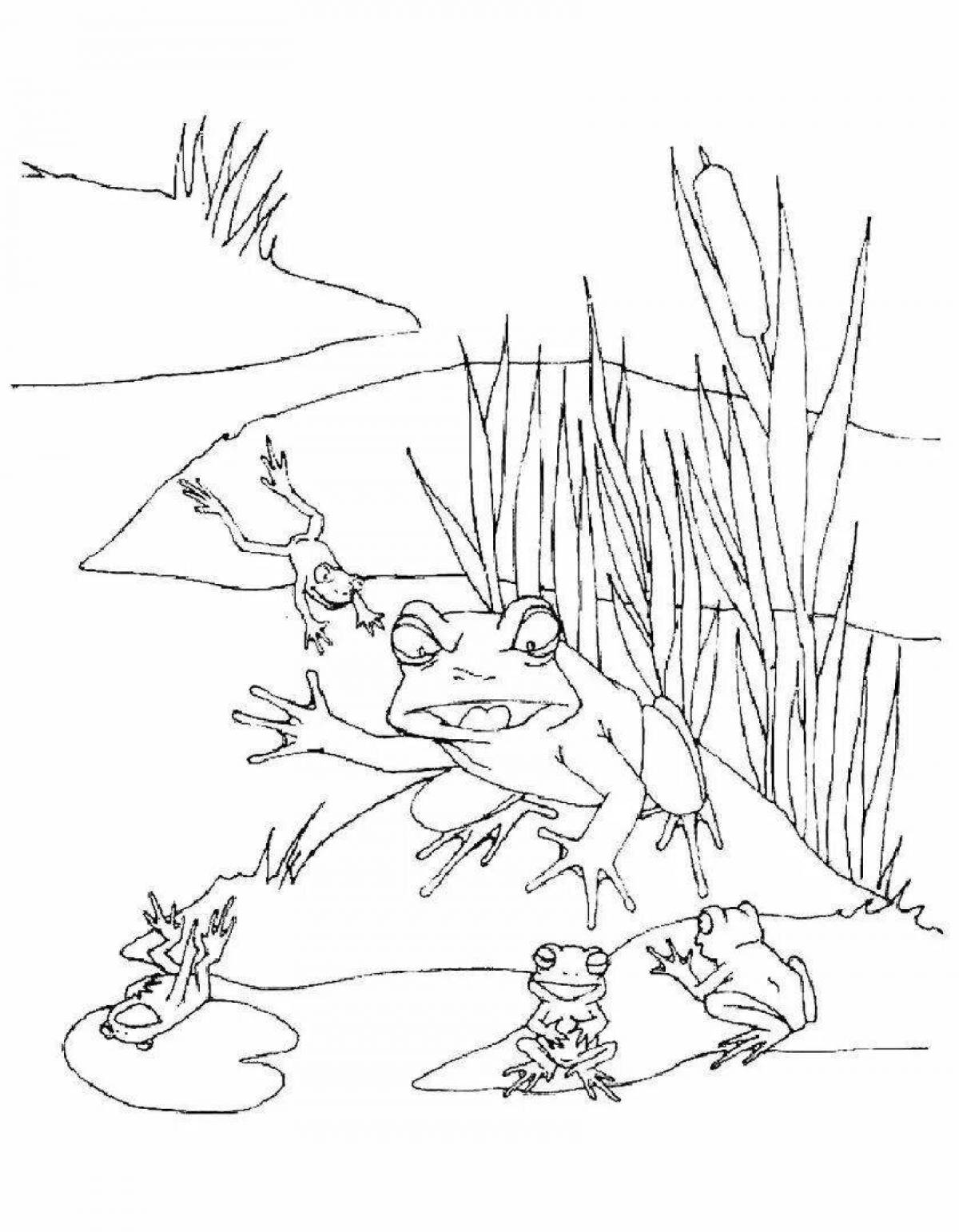 Coloring book funny traveler frog