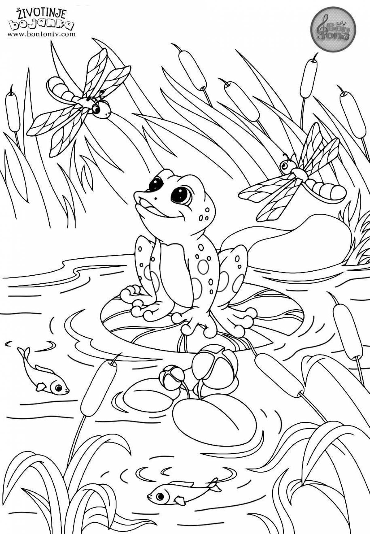 Coloring book animated frog traveler