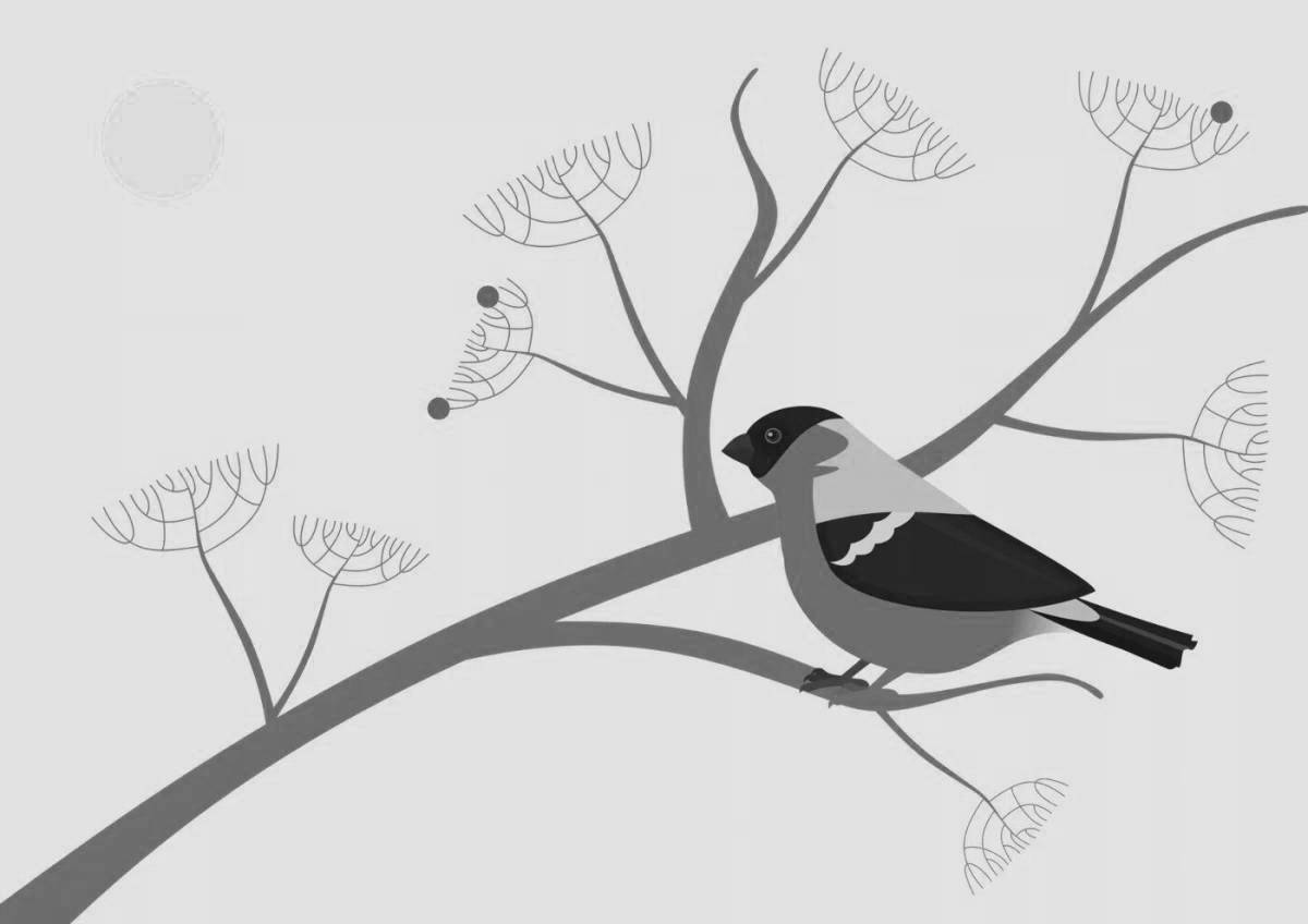 Rich bullfinch coloring for kids