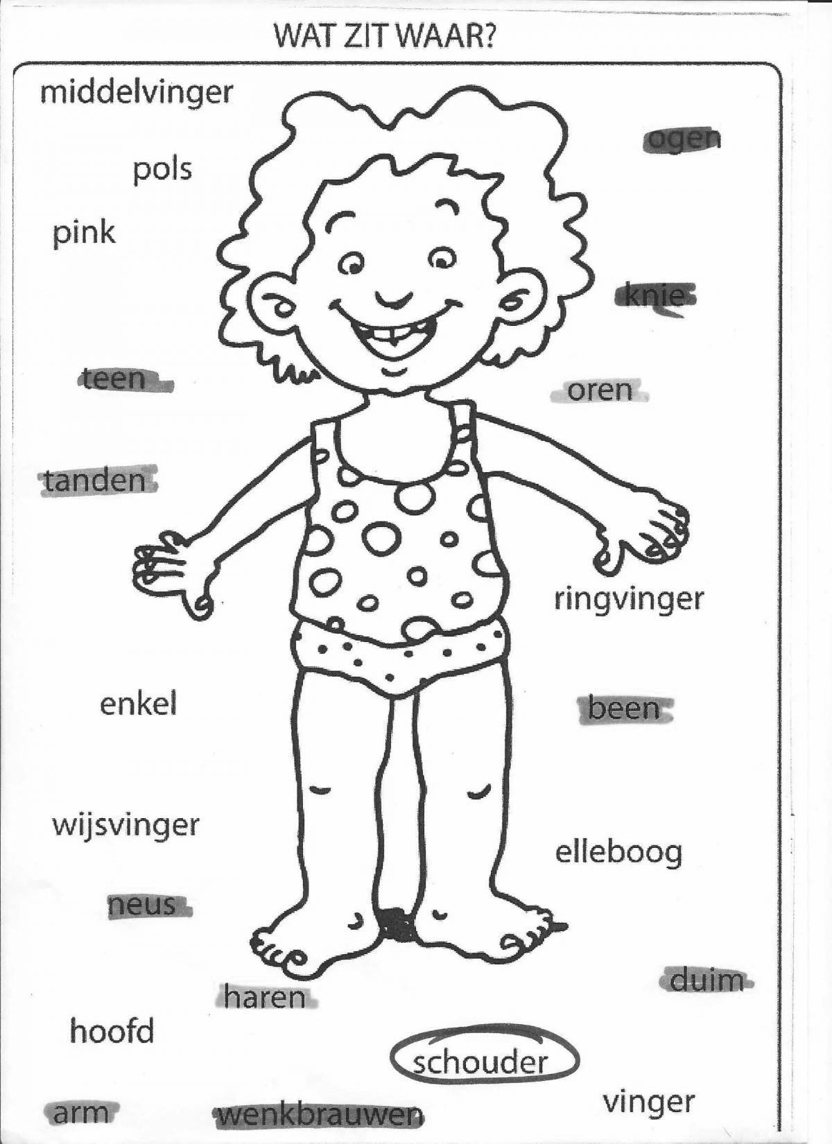 Bright coloring of the human body for preschoolers