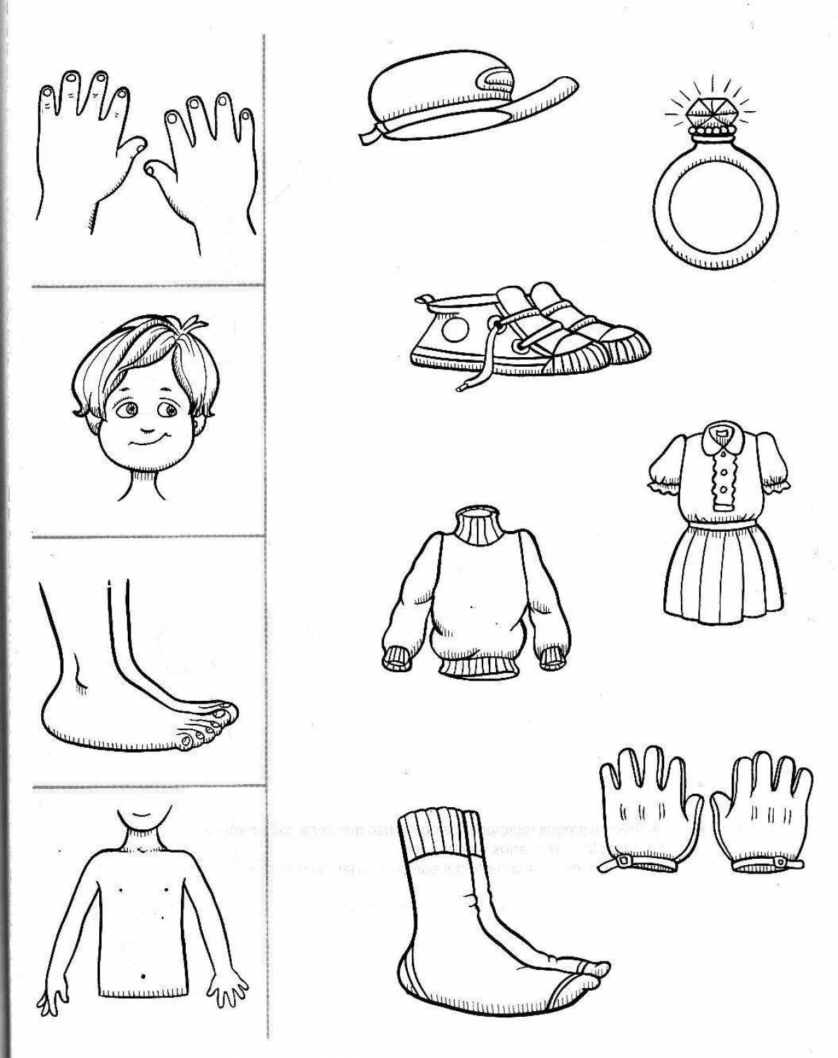 Human body for preschoolers #14