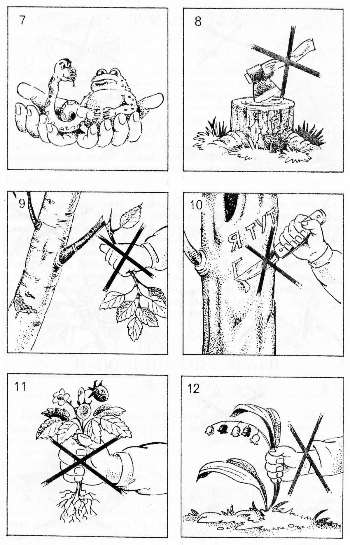 Composed coloring rules of behavior in nature