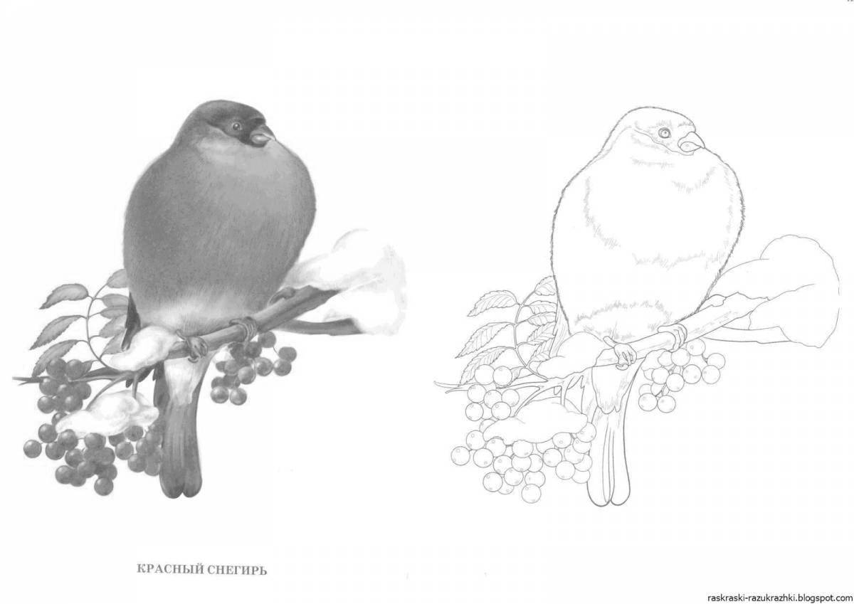 Яркий снегирь на зимней ветке