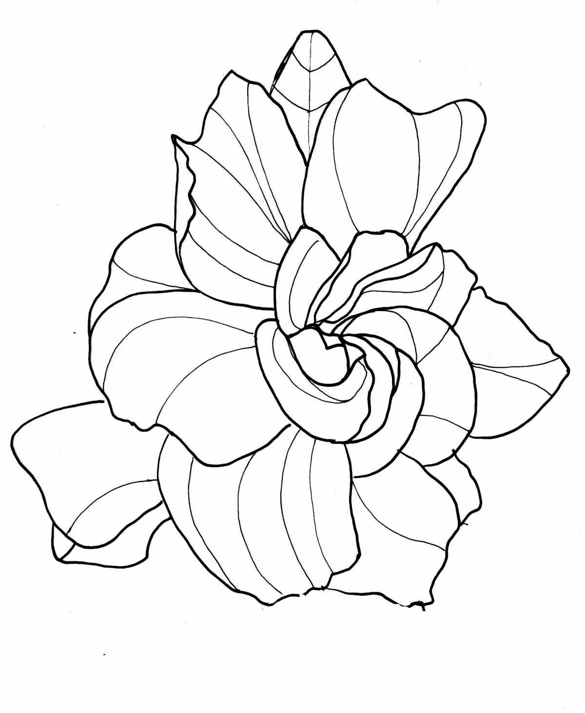 Playful stone flower coloring page for kids