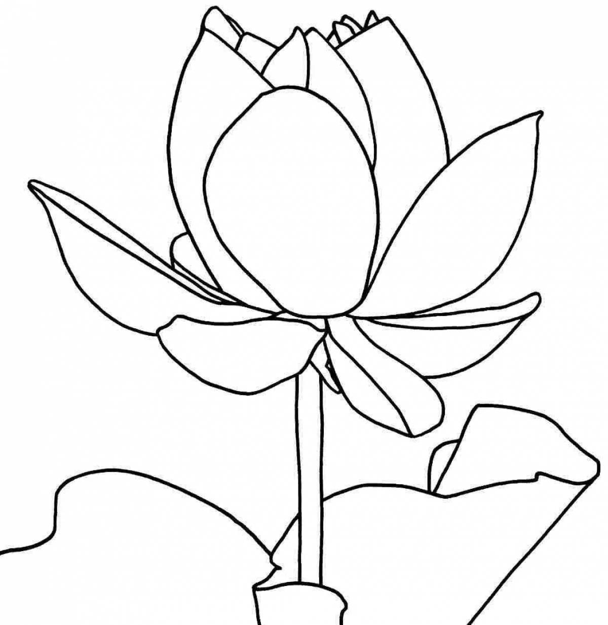 Coloring book magic stone flower for kids