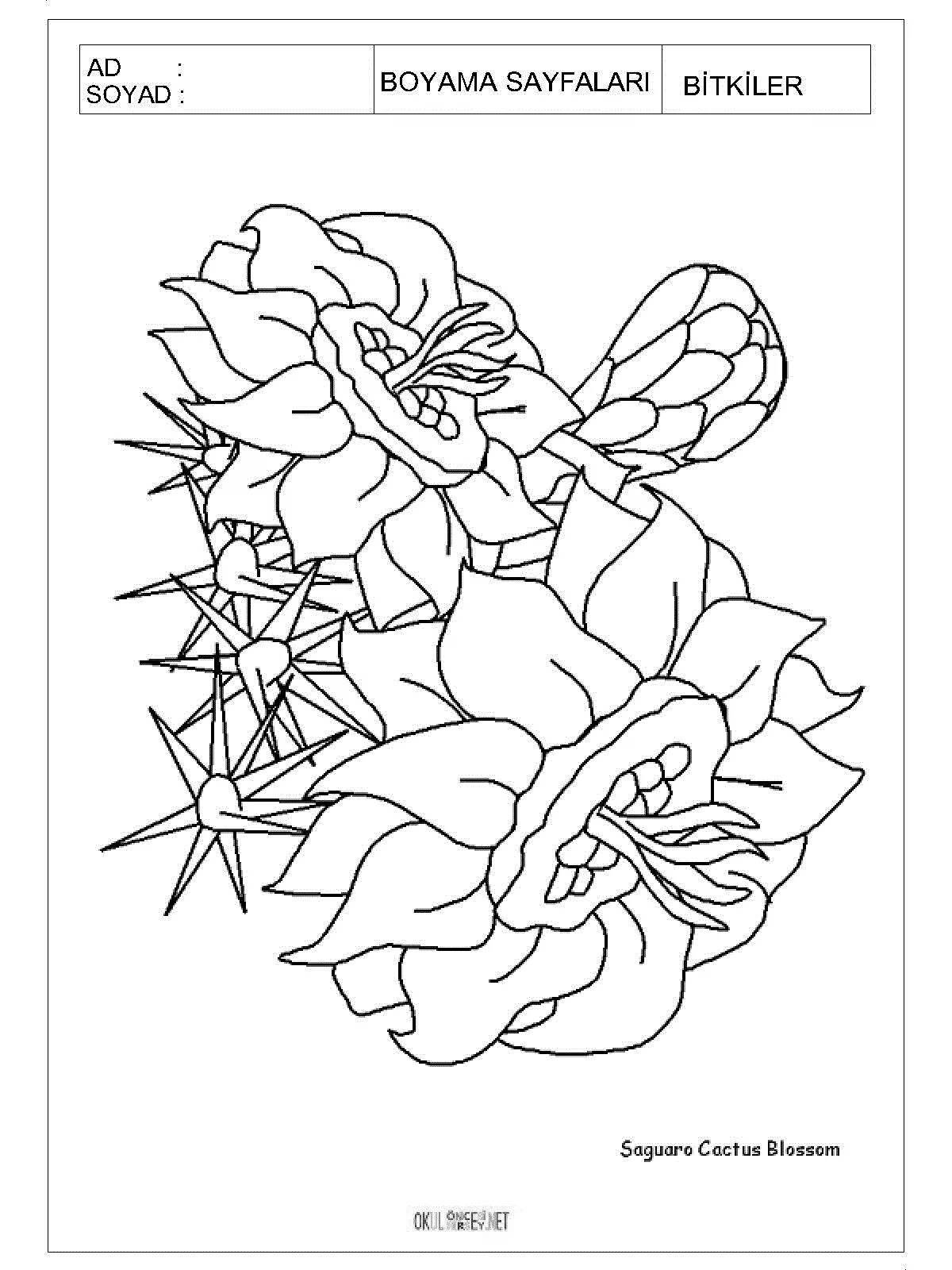 Shiny stone flower coloring book for kids