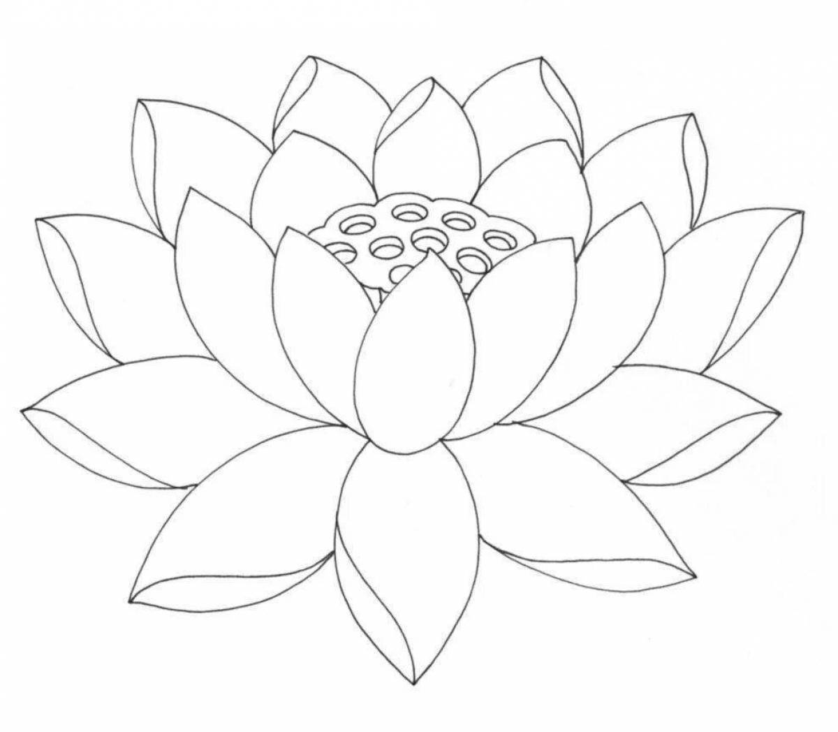 Sweet stone flower coloring book for kids