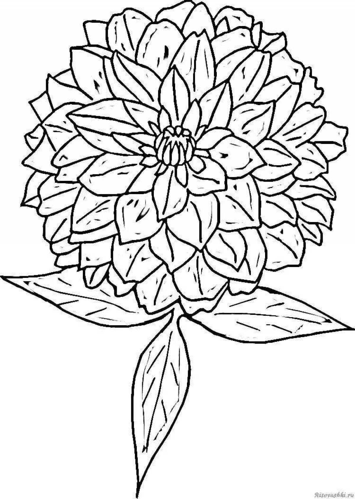 Cute stone flower coloring pages for kids