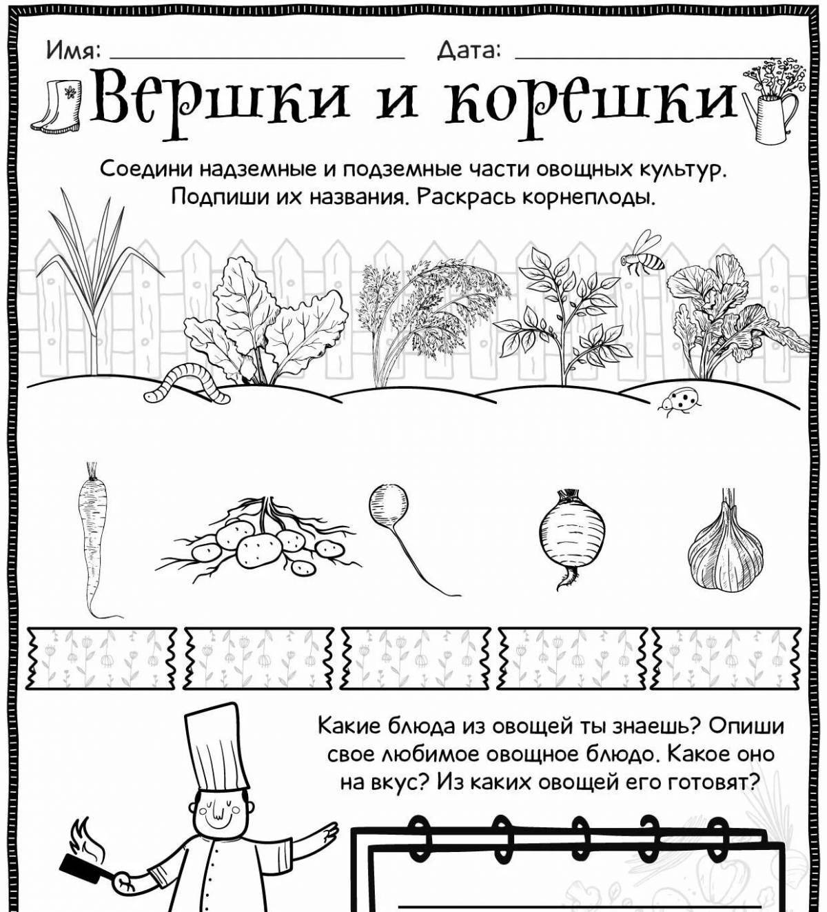 Мистическая раскраска вершины и корни сказка