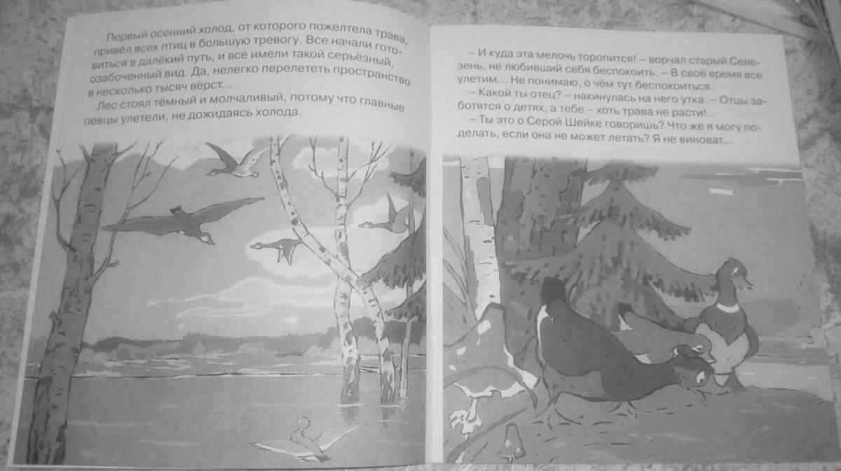 Photo Silly coloring gray neck of Siberian mother