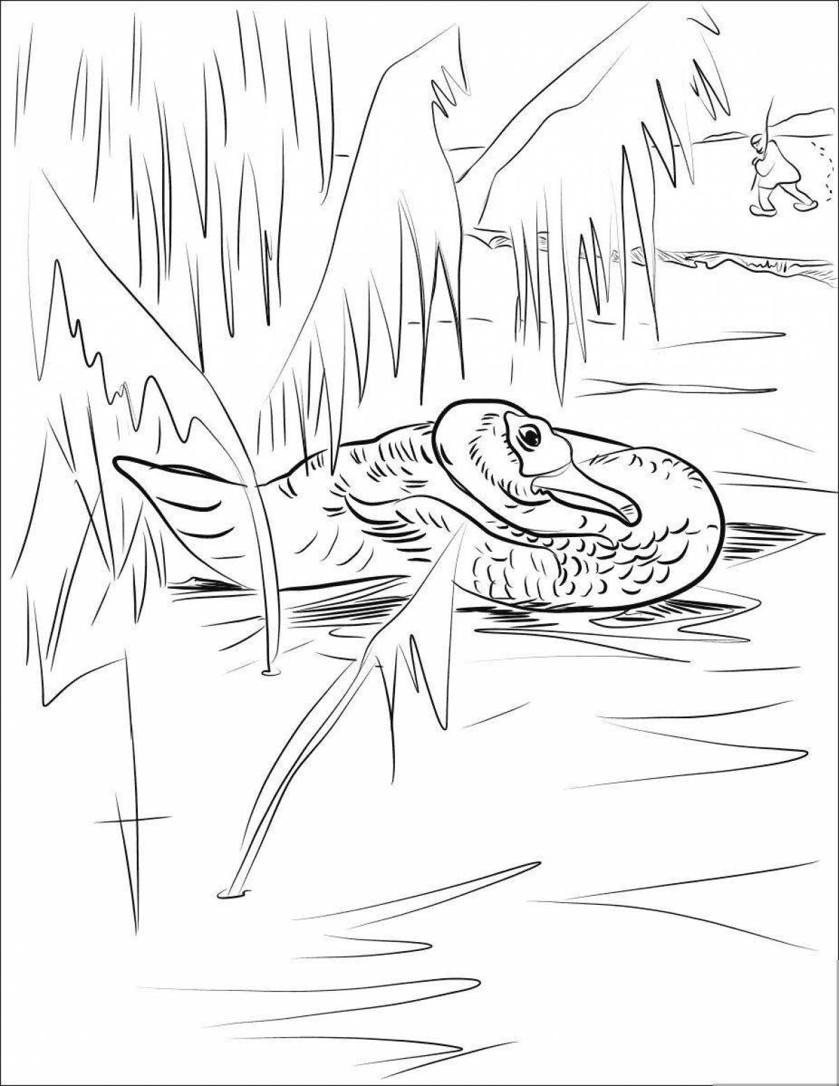 Photo Great coloring gray neck of Siberian mother