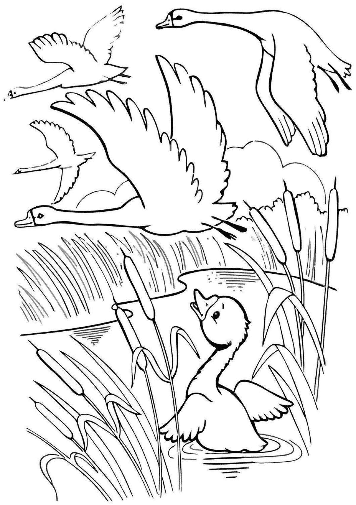 Regal coloring page сибирская серая шея мамы