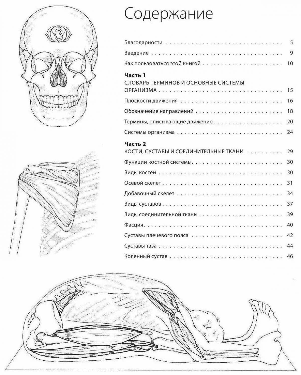 Яркая раскраска анатомия человека atlas exmo