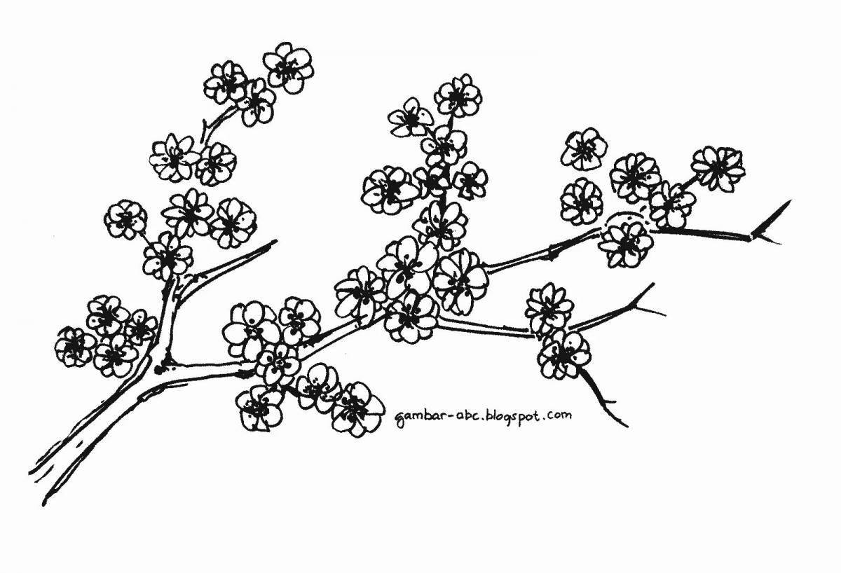 Charming sakura branch coloring book for kids