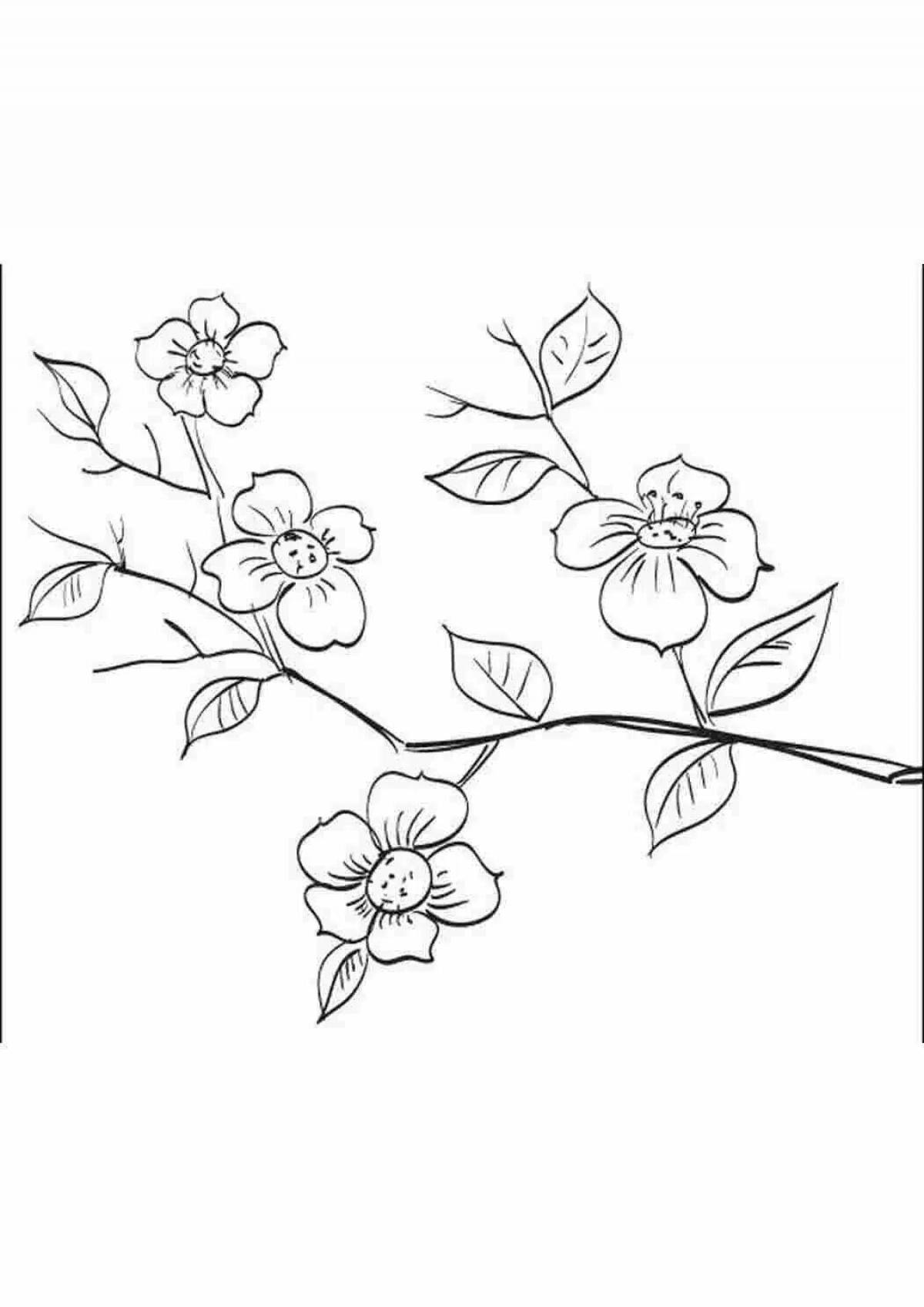 Sweet sakura branch coloring book for kids