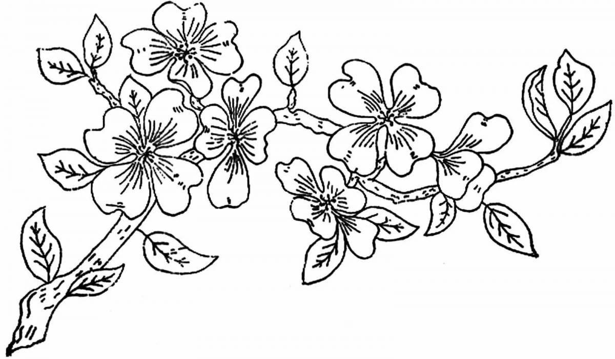 Playful sakura branch coloring book for kids