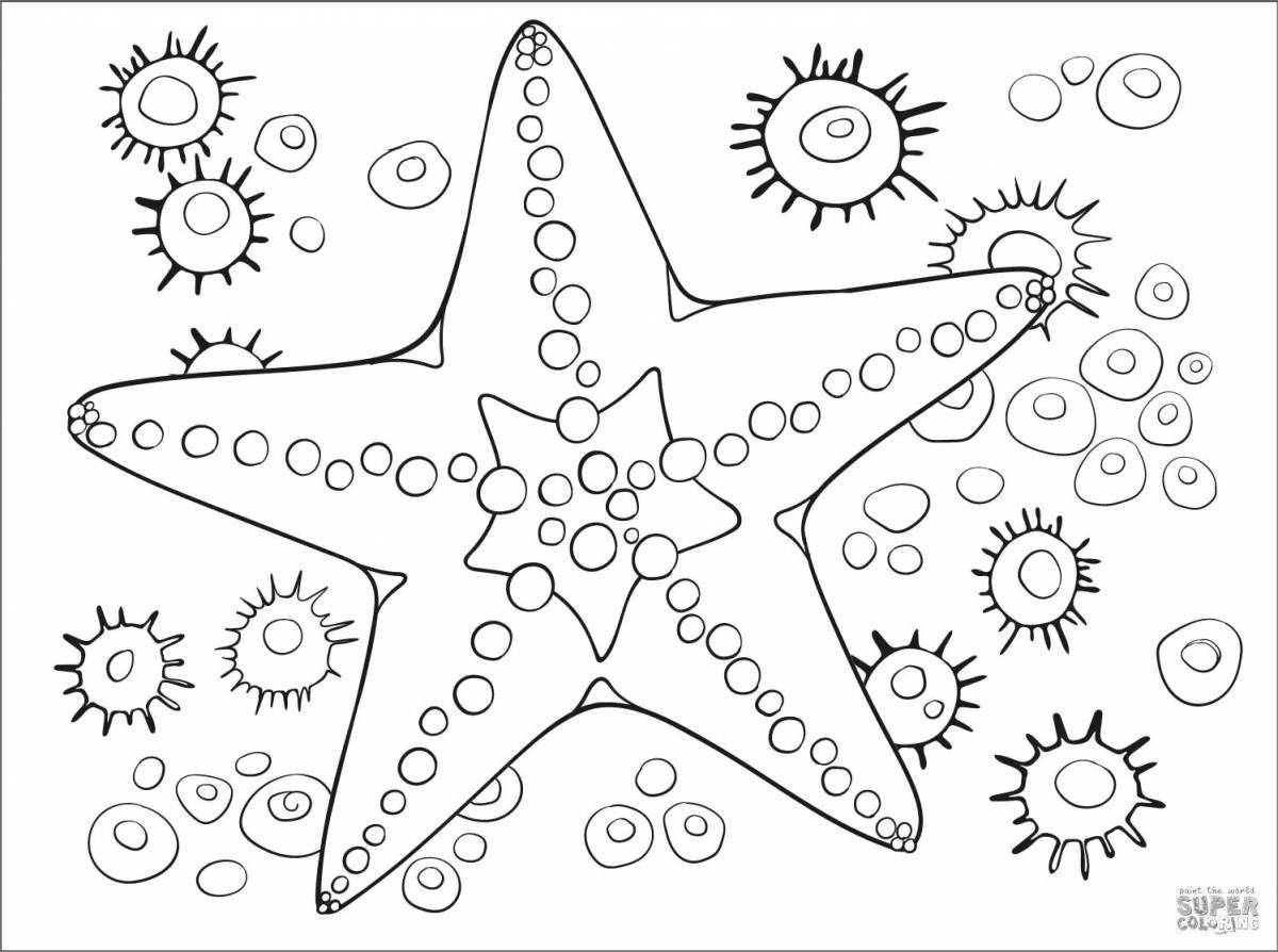 Colorful starfish coloring book for kids