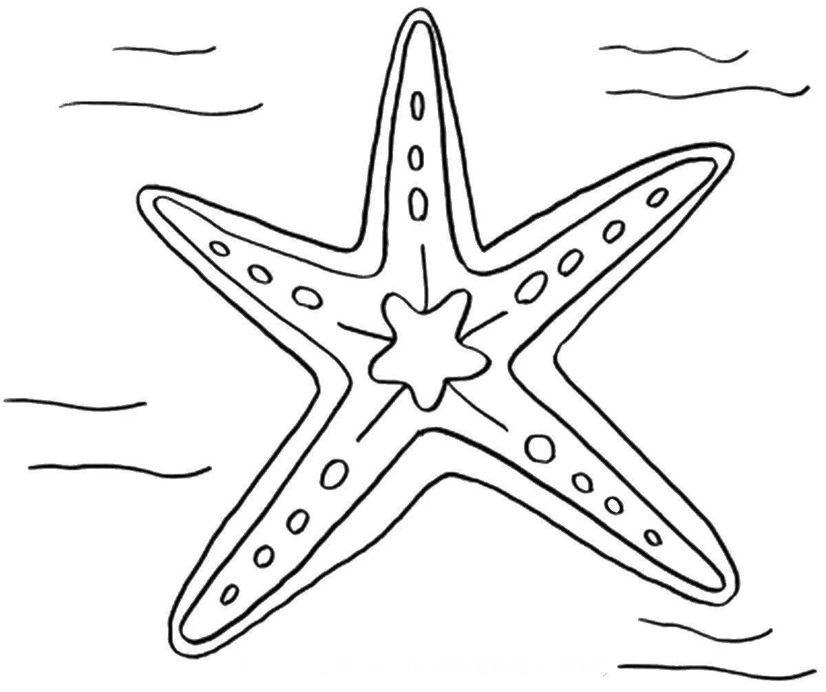 Очаровательная морская звезда раскраски для детей