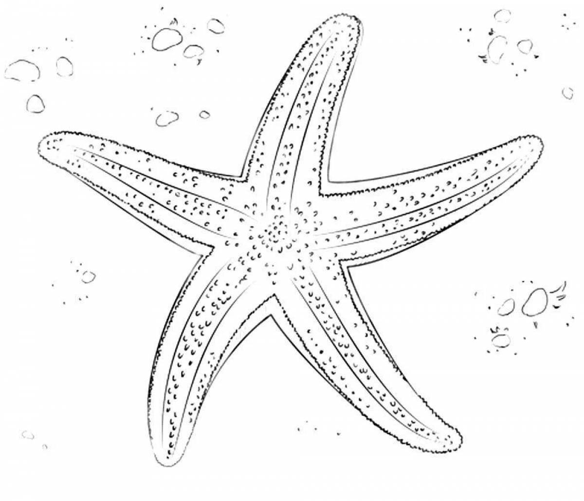 Потрясающие раскраски морская звезда для детей