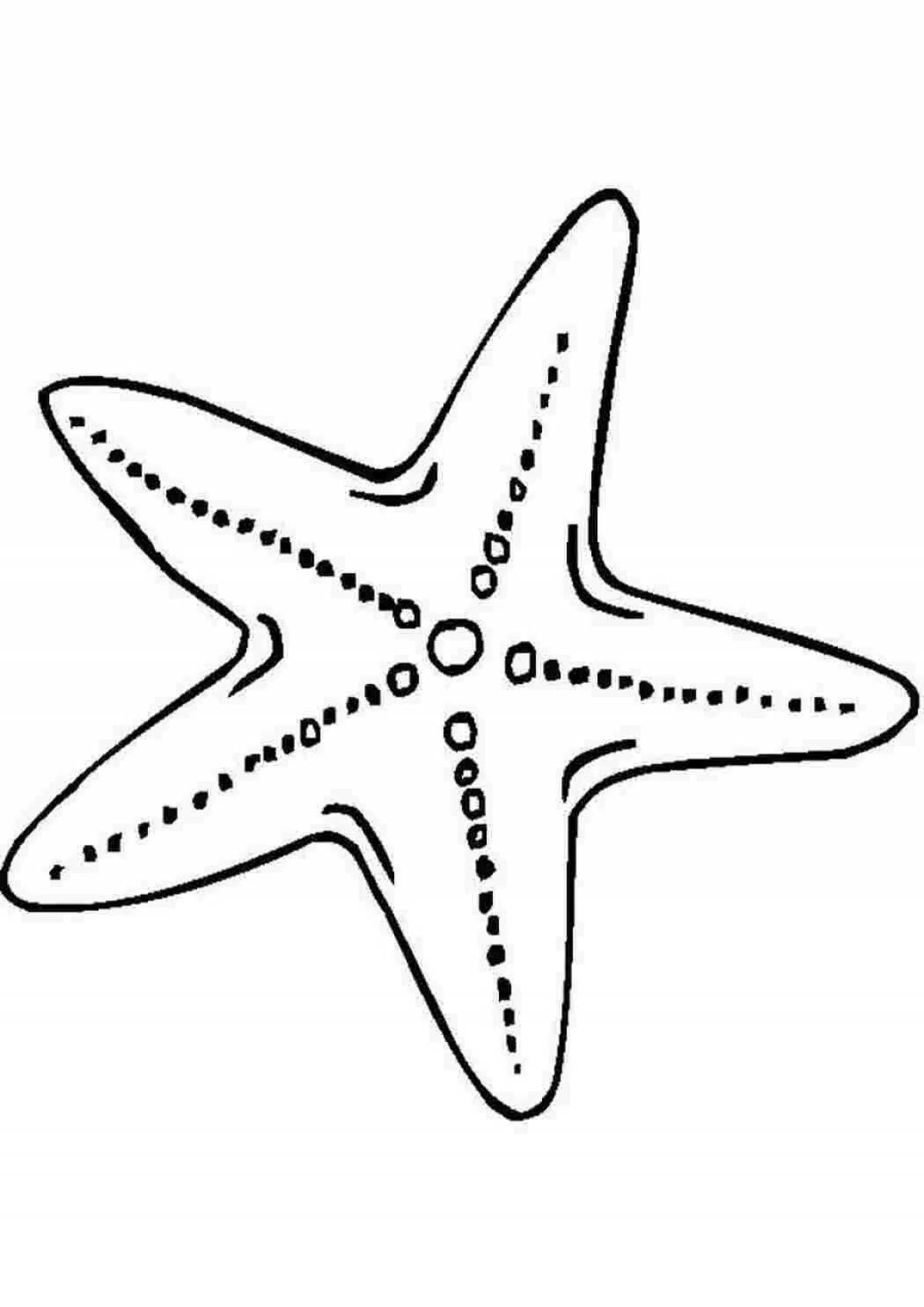Cute starfish coloring book for kids
