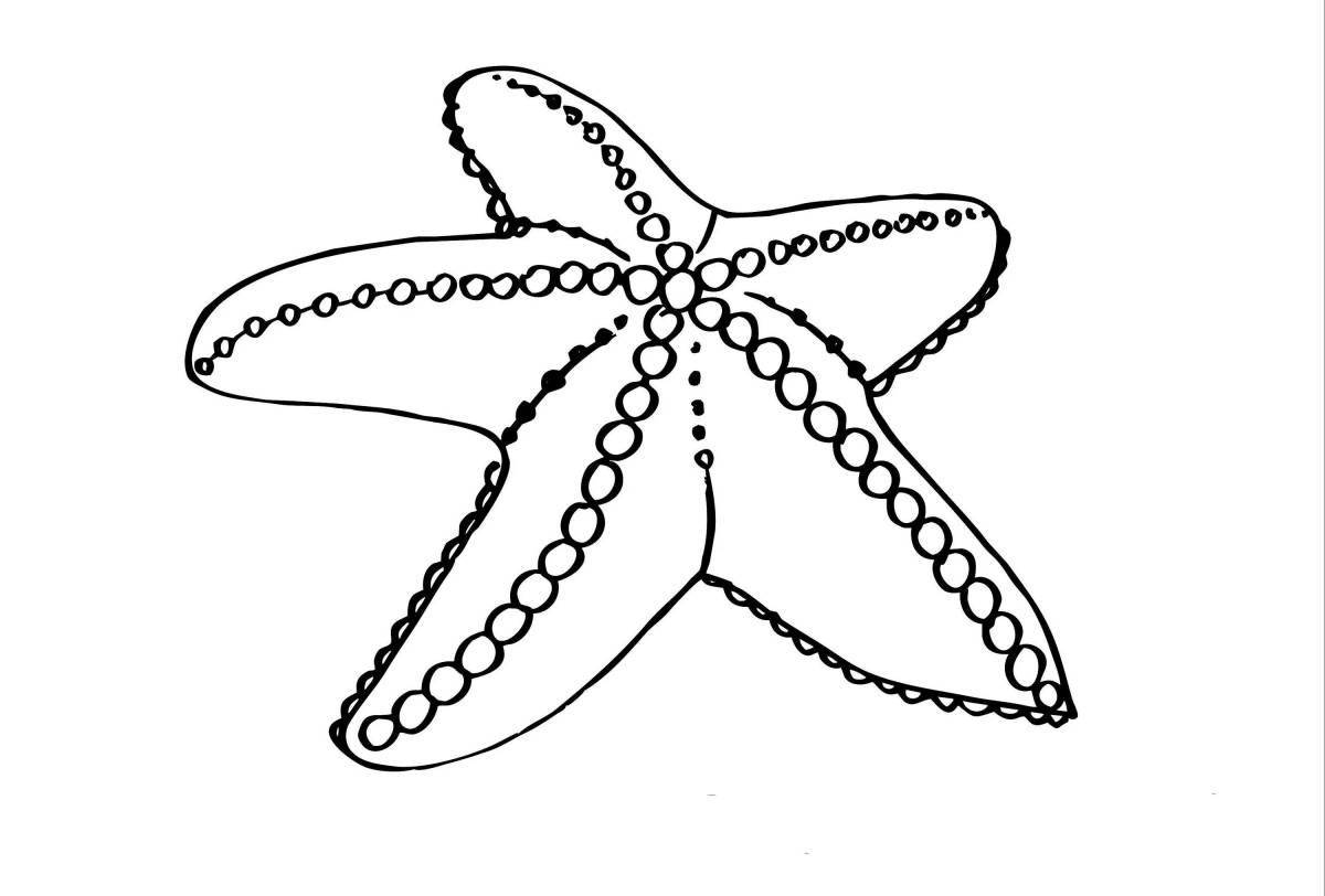 Photo Impressive starfish coloring book for kids