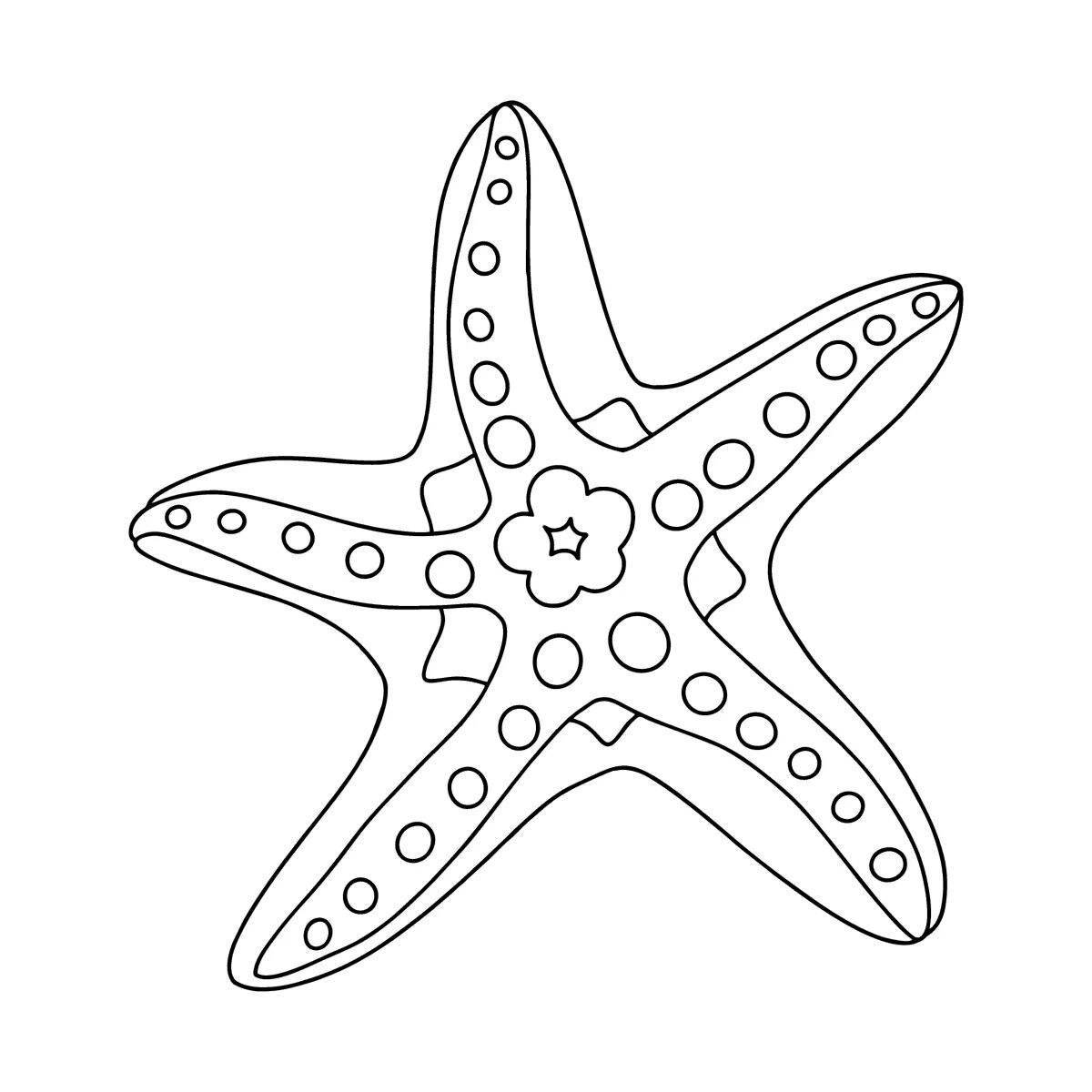 Замечательная морская звезда раскраски для детей