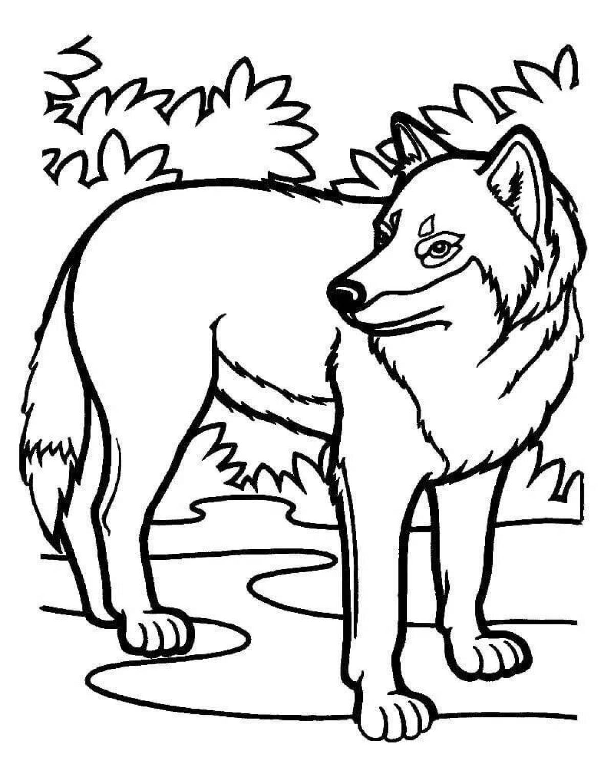 Яркая раскраска рисунок волка для детей