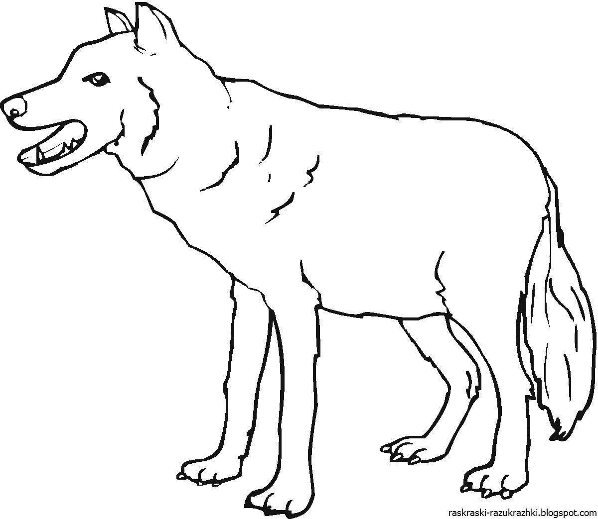 Выдающаяся раскраска рисунок волка для детей