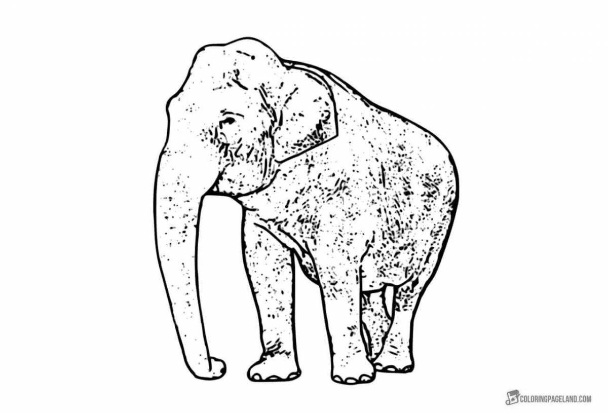 Яркая страница раскраски африканского слона